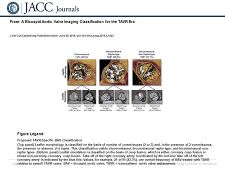 Date of download: 7/8/2016 Copyright © The American College of Cardiology. All rights reserved. From: A Bicuspid Aortic Valve Imaging Classification for.