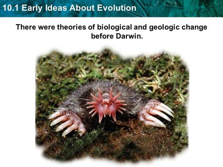 10.1 Early Ideas About Evolution There were theories of biological and geologic change before Darwin.