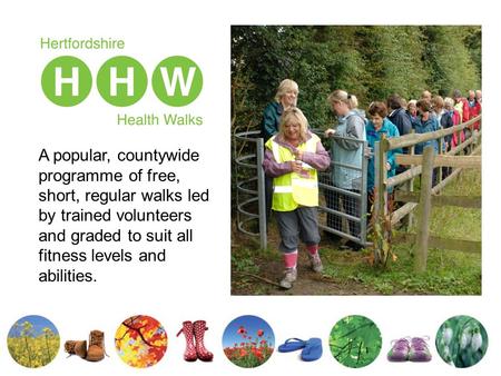 A popular, countywide programme of free, short, regular walks led by trained volunteers and graded to suit all fitness levels and abilities.