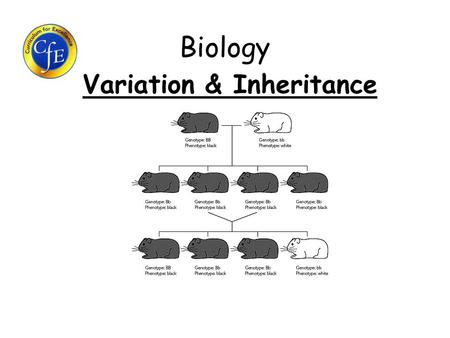 Variation & Inheritance