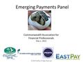 Emerging Payments Panel © 2013 EastPay. All Rights Reserved Commonwealth Association for Financial Professionals May 1, 2013.