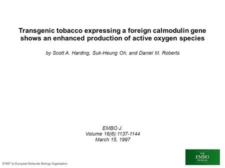 Transgenic tobacco expressing a foreign calmodulin gene shows an enhanced production of active oxygen species by Scott A. Harding, Suk ‐ Heung Oh, and.