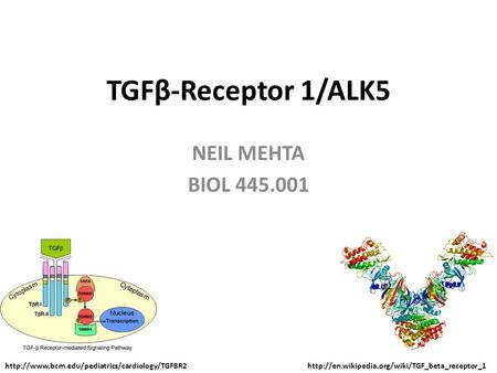 TGFβ-Receptor 1/ALK5 NEIL MEHTA BIOL 445.001