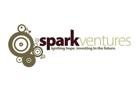 WHO WE ARE Spark Ventures exists to form partnerships with high-impact organizations around the world that help vulnerable children achieve their potential.