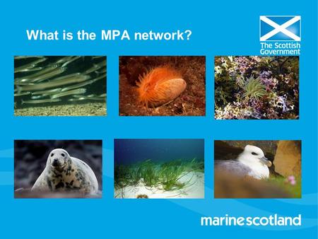 What is the MPA network?. Marine Nature Conservation Strategy Vision: Clean, healthy, safe, productive and biologically diverse marine and coastal environment.