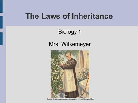 The Laws of Inheritance Biology 1 Mrs. Wilkemeyer Image taken from kentsimmons.uwinnipeg.ca/cm1504/mendel.htm.