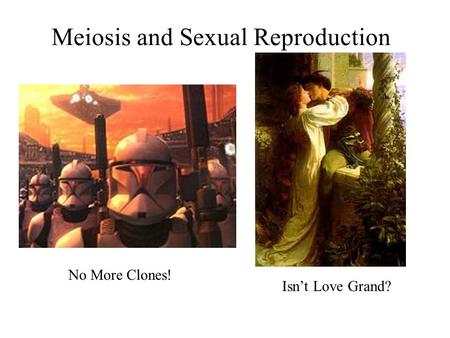 Meiosis and Sexual Reproduction No More Clones! Isn’t Love Grand?