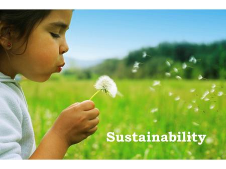 Sustainability. Priority Tier I Fully fund Title V Support Newborn Screening Priority Tier II Universal health care Repeal Medicaid Rules Autism & other.