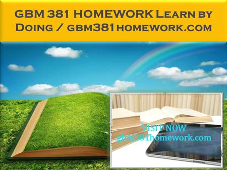 GBM 381 HOMEWORK Learn by Doing / gbm381homework.com.