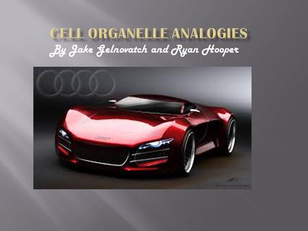 Cell Organelle Analogies