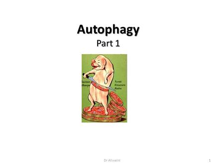 Autophagy Part 1 Dr Aliwaini.
