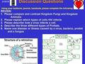 Discussion Questions REVIEW: 1. Please compare and contrast Kingdom Fungi and Kingdom Animalia Animalia 2. Please explain which types of cells HIV infects.