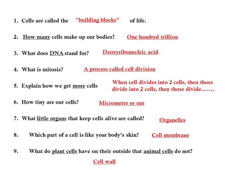 1. Cells are called the of life. 2. How many cells make up our bodies? 3. What does DNA stand for? 4. What is mitosis? 5. Explain how we get more cells.