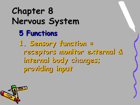 Chapter 8 Nervous System 5 Functions 1. Sensory function = receptors monitor external & internal body changes; providing input 5 Functions 1. Sensory function.
