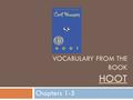 Vocabulary from the book Hoot