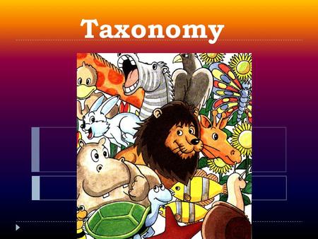 Taxonomy. Objectives: The student will be able to:  Classify organisms from different kingdoms at several taxonomic levels, using a dichotomous key(LS-H-C4)