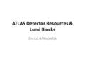 ATLAS Detector Resources & Lumi Blocks Enrico & Nicoletta.