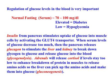 Regulation of glucose levels in the blood is very important Normal Fasting (Serum) ~ 70 – 100 mg/dl Elevated = Diabetes Low = Hypoglycemia Insulin from.