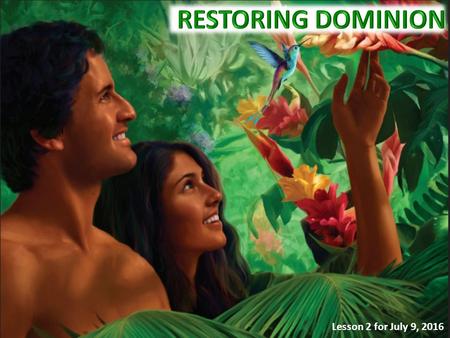 Lesson 2 for July 9, 2016. DOMINION OVER THE EARTH THE ORIGINSTHE PRIVILEGEBOUNDARIES ACCOUNTABILITY RESTORATION.