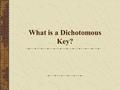 What is a Dichotomous Key?. Classification Chapter 18 Ridgewood High School