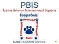 Positive Behavior Interventions & Supports MABEL-CANTON SCHOOL PBIS.