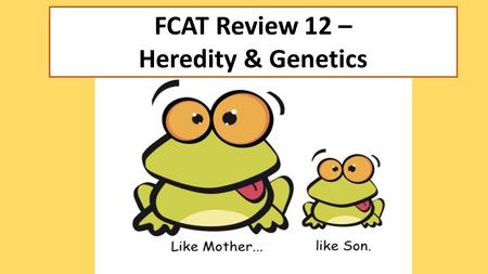FCAT Review 12 – Heredity & Genetics.