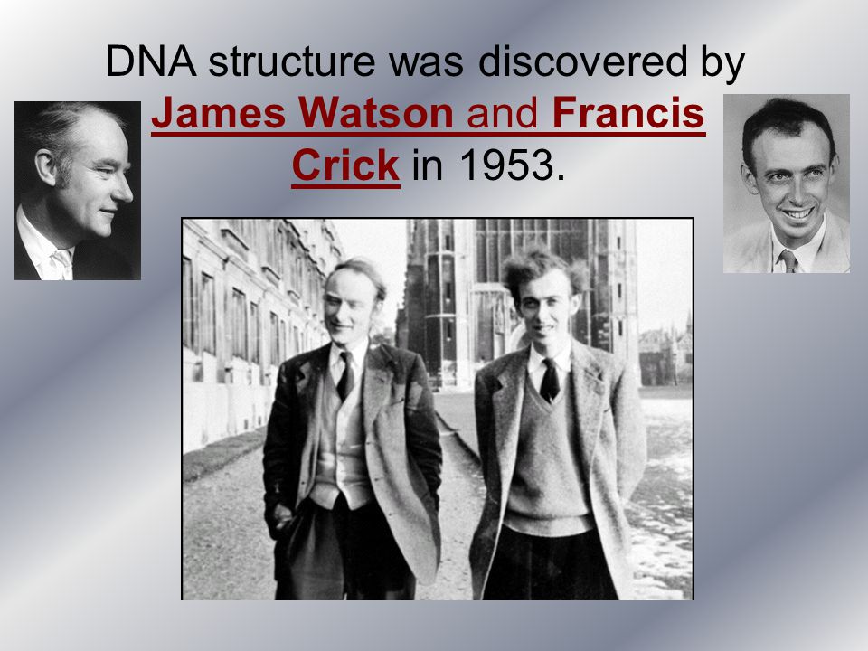 Image result for structure of dna discovered 1953