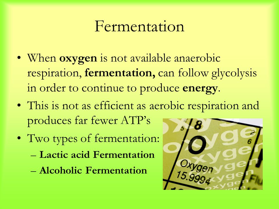 lactic fermentation,lacticacidosis fermentationwhen oxygen is not available anaerobic respiration