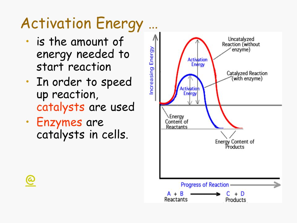 Image result for energy of activation