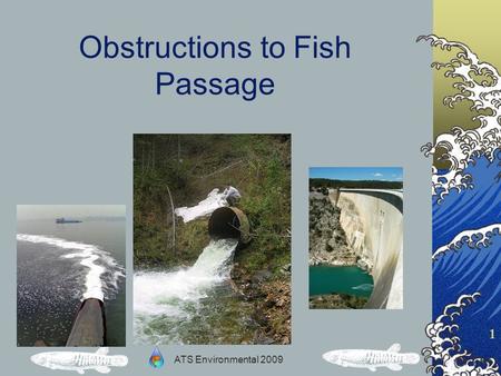 ATS Environmental 2009 1 Obstructions to Fish Passage.