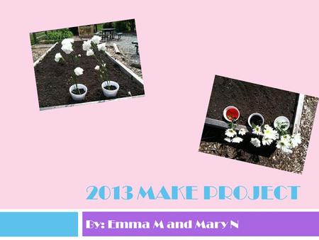 2013 Make Project By: Emma M and Mary N.
