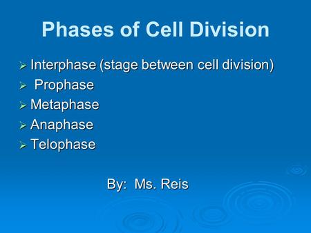 Phases of Cell Division