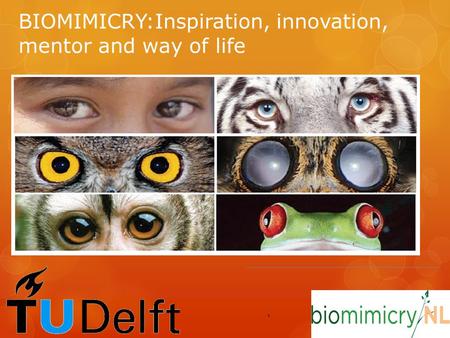 BIOMIMICRY:Inspiration, innovation, mentor and way of life,