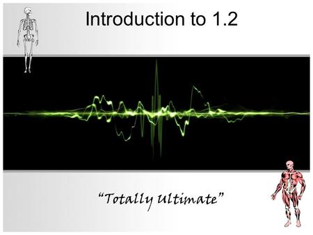 Introduction to 1.2 “Totally Ultimate”.