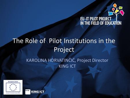 The Role of Pilot Institutions in the Project