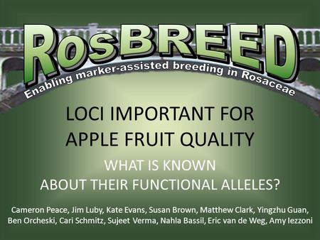 LOCI IMPORTANT FOR APPLE FRUIT QUALITY