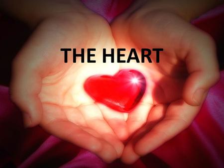 THE HEART.