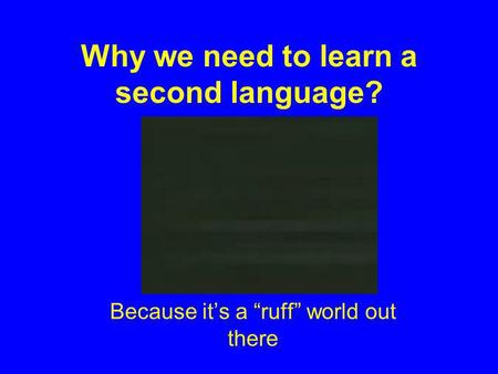 Why we need to learn a second language? Because its a ruff world out there.