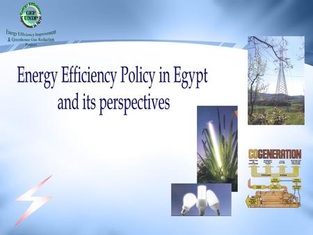 Energy Efficiency Policy in Egypt and its perspectives