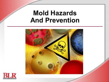 Mold Hazards And Prevention. © Business & Legal Reports, Inc. 0809 Session Objectives Understand the potential health hazards of exposure to mold Detect.