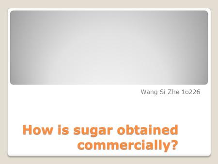 How is sugar obtained commercially? Wang Si Zhe 1o226.