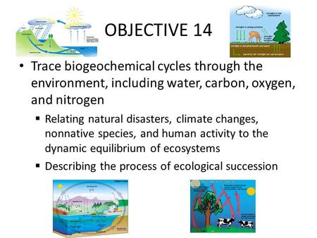 OBJECTIVE 14 Trace biogeochemical cycles through the environment, including water, carbon, oxygen, and nitrogen Relating natural disasters, climate changes,