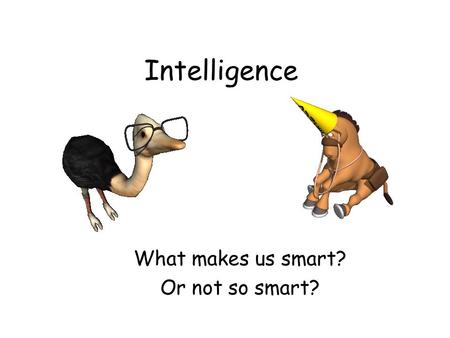 What makes us smart? Or not so smart?