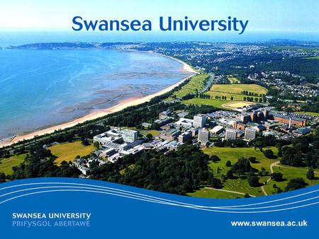 Www.swansea.ac.uk. End of financial year procedures.