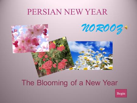 The Blooming of a New Year PERSIAN NEW YEAR NOROOZ Begin.