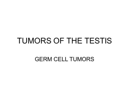 TUMORS OF THE TESTIS GERM CELL TUMORS.