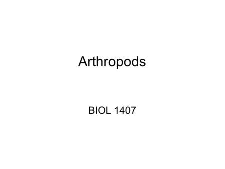 Arthropods BIOL 1407.