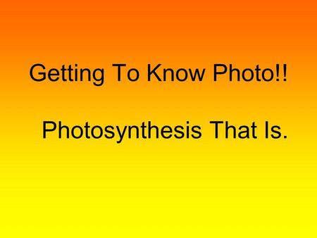 Getting To Know Photo!! Photosynthesis That Is.. By now you should have a pretty good understanding as to what plants are doing during the process of.