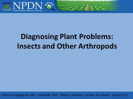 Diagnosing Plant Problems: Insects and Other Arthropods