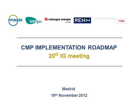 CMP IMPLEMENTATION ROADMAP 20 th IG meeting Madrid 19 th November 2012.